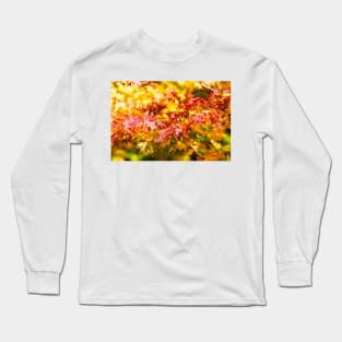 Maple tree red and orange autumn leafs Long Sleeve T-Shirt